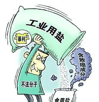 中国食盐主要来源