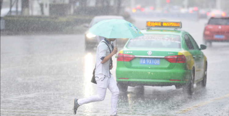 二伏下雨有什么说法