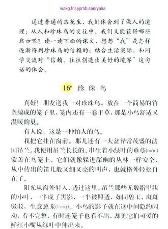 珍珠鸟课文中的流泻是什么意思