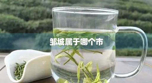 邹城派出所邹邹城市属于淄博邹城哪个市淄博