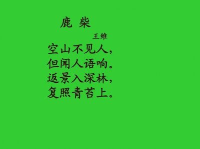 ​空山不见人是哪首诗（鹿柴全诗注释）