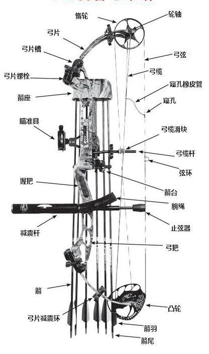 新手入门复合弓推荐（复合弓科普户外高端玩法）(2)