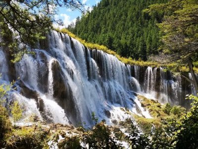 ​九寨沟诺日朗瀑布图片  九寨沟诺日朗瀑布还在吗