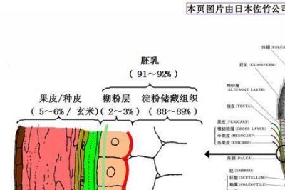 ​糙米是由哪几种米组成