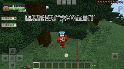 ​中国最早的mc主播