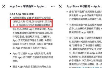 ​苹果内购项目什么意思