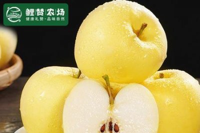 ​黄金奶油红富士成熟时间