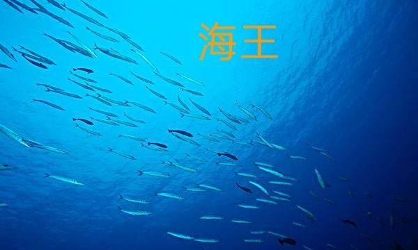 海王是什么意思梗，网络海王是什么意思？图2