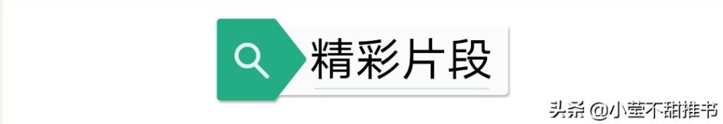 冰糖炖雪梨全文加番外简介_书籍里的番外