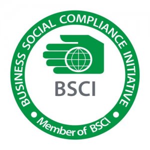 ​bsci审核技术（BSCI审核要点）