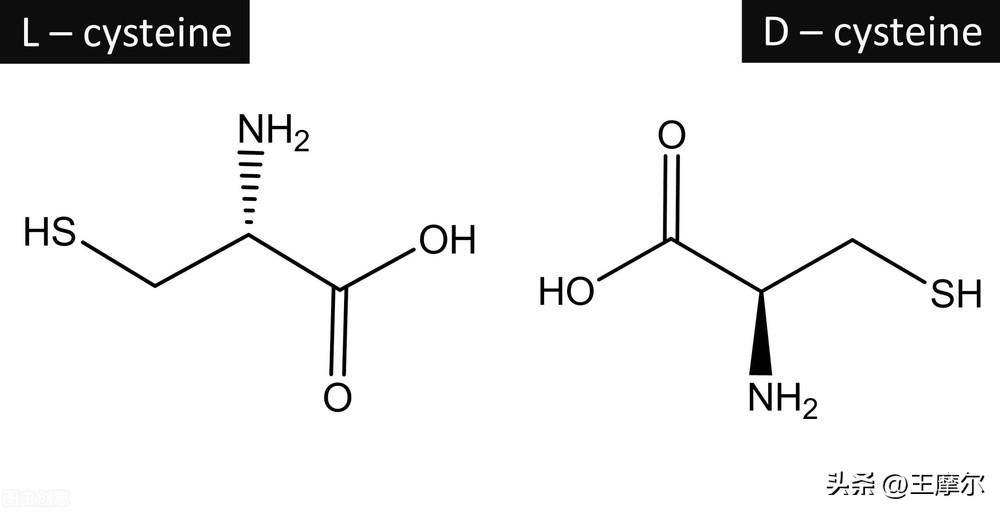 同分异构体的概念(同分异构体怎么判断)