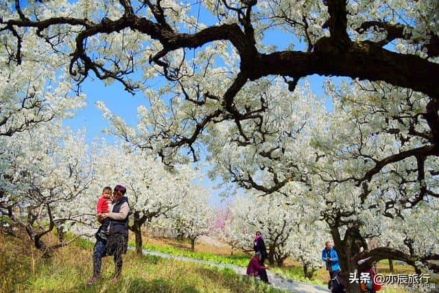 甘肃省兰州十大旅游景点（兰州的旅游景点排名）