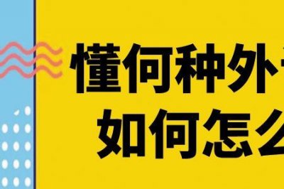 ​面试外语水平怎么填