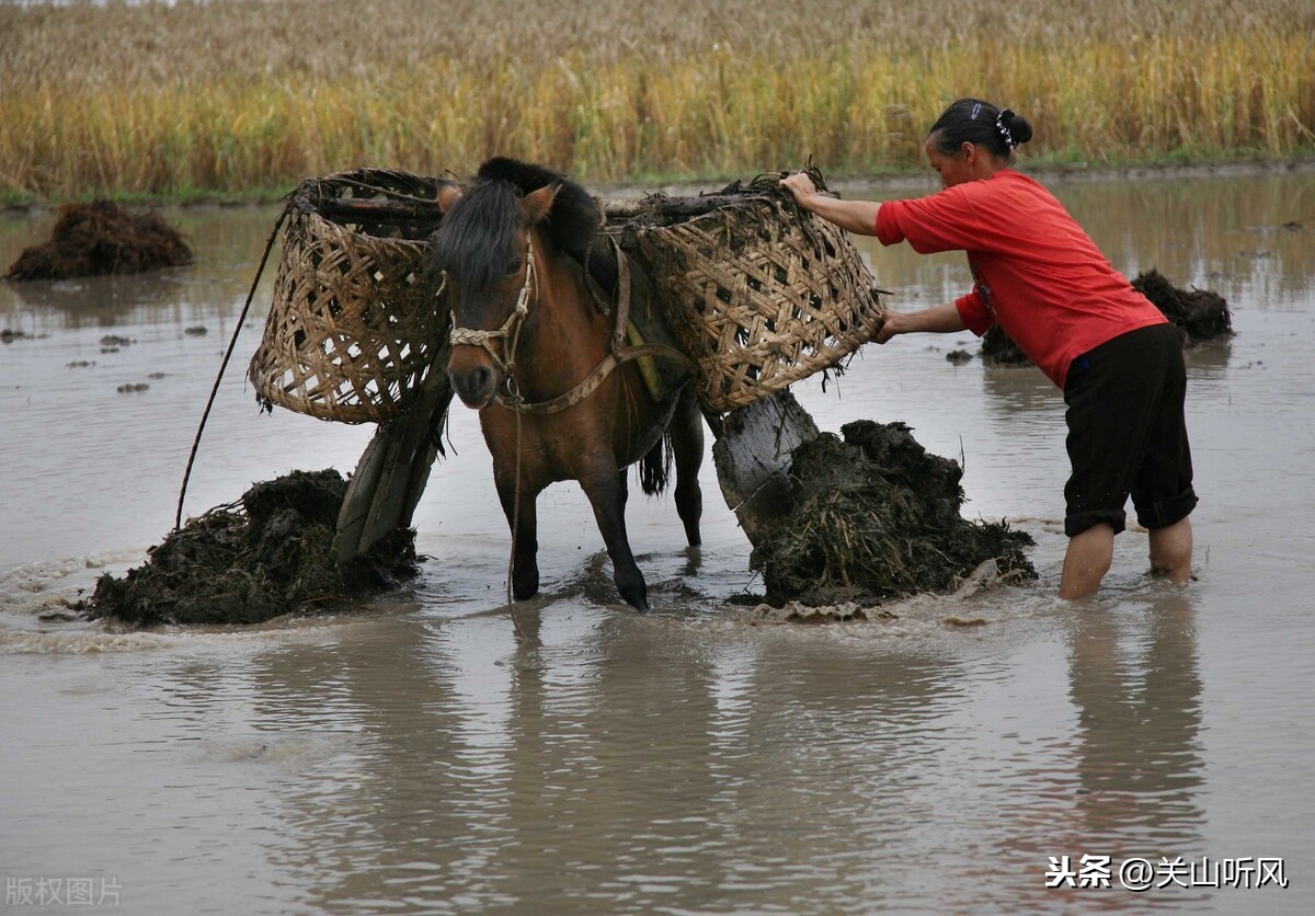 肥水不流外人田是俗语吗（肥水不流外人田什么意思）