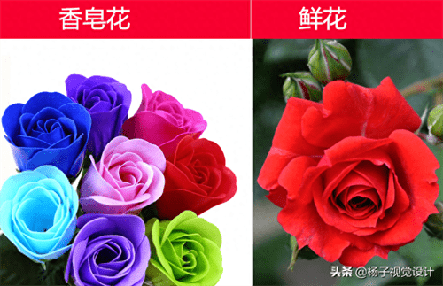 为什么不能送香皂花(情侣送香皂花是不是很丢人)