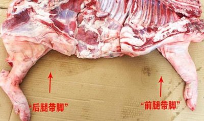 ​教你区分猪肉前腿肉和后腿肉 不同位置口感不一样别买错了