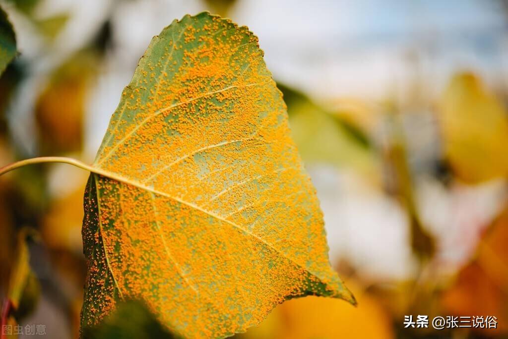 天赦日什么时辰好(2023天赦日一览表)