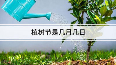 ​植树节是几月几日