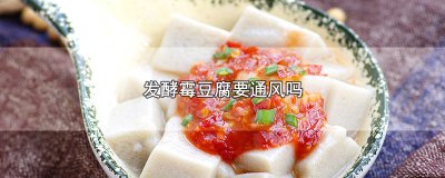 ​发酵霉豆腐要通风吗，附发酵时间和保存方法