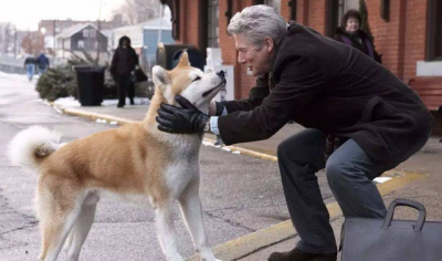 ​长不大的小型犬品种大全「附：什么狗狗长不大又好养」