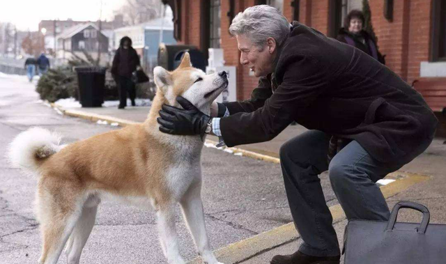 长不大的小型犬品种大全，什么狗狗长不大又好养