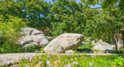 ​沂蒙山小调诞生于沂蒙市什么县(沂蒙山小调诞生于哪个地方)