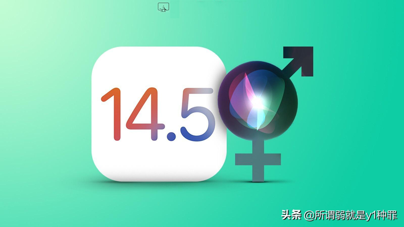 siri怎么重新设置主人声音（siri怎么重置主人声音）