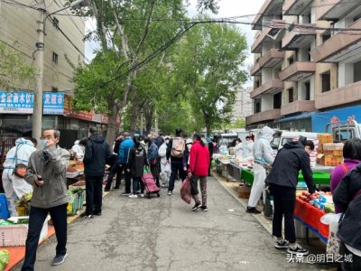 ​野菜+驴腿+三道鳞，三剑客驾到！绿园这早市太多好吃的，还便宜