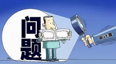 ​跟踪审计是什么？主要审查什么？