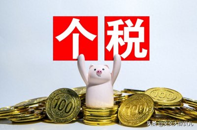 ​个税申报里的“通过扣缴义务人申报”是什么意思？