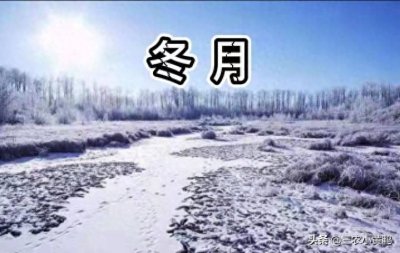 ​十一月初九，俗语“冬月初九雪，来年谷米跌”啥意思？有道理吗？