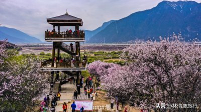 ​国内三四月份适合旅游的地方  ，花开不断，气候养人，适合旅居