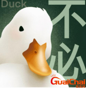 ​duck不必什么梗？duck不必的意思是什么？