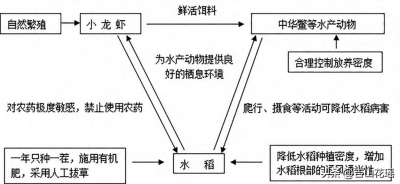 ​甲鱼防逃围栏（甲鱼防逃围栏需要多高）