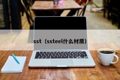 ​sst（ssteel什么材质）