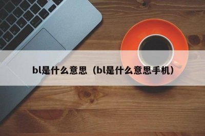 ​bl是什么意思（bl是什么意思手机）