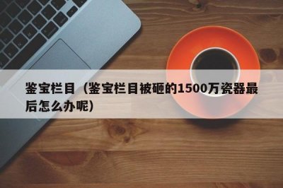 ​鉴宝栏目（鉴宝栏目被砸的1500万瓷器最后怎么办呢）