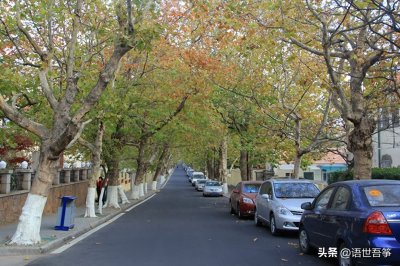 ​山东车牌号城市代号(我所了解的青岛车牌鲁B鲁U之别)