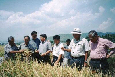 ​袁隆平(袁隆平生前为何去了菲律宾三十多次？在稻田间播撒中菲友谊的种子)