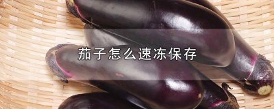 ​茄子怎么速冻保存方法视频 茄子怎么速冻保存方法窍门