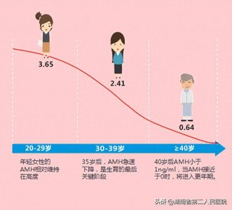 ​检验卵巢功能的指标amh 卵巢功能amh检查