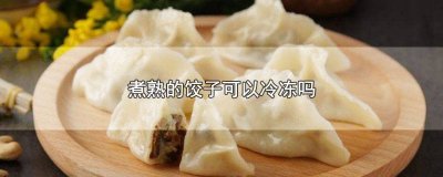 ​冰冻的饺子要煮多久才可以熟 冰箱冻久的饺子能煮熟吗