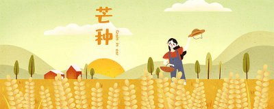 ​芒种是指哪个节气 芒种是什么节气的含义是什么