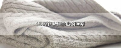 ​100%羊毛和100%绵羊绒 100%羊毛和50%羊毛区别