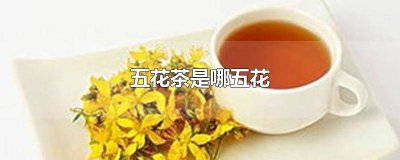 ​五花茶和祛湿茶 去湿五花茶有哪些