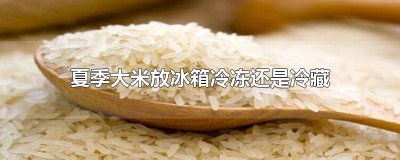 ​夏季大米放冰箱冷冻还是冷藏呢 夏天大米放冰箱冷藏还是冷冻