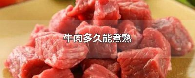 ​牛肉多久能煮熟片 牛肉多久能煮熟凉拌