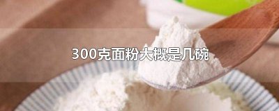 ​300克面粉等于几碗 300克是多少勺面粉