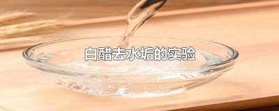 ​白醋去水垢的实验作文三年级50 白醋去水垢的实验作文三年级(用关连词连起来)