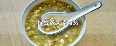 ​绿豆一般要煮多久才熟 绿豆煮熟需要多久